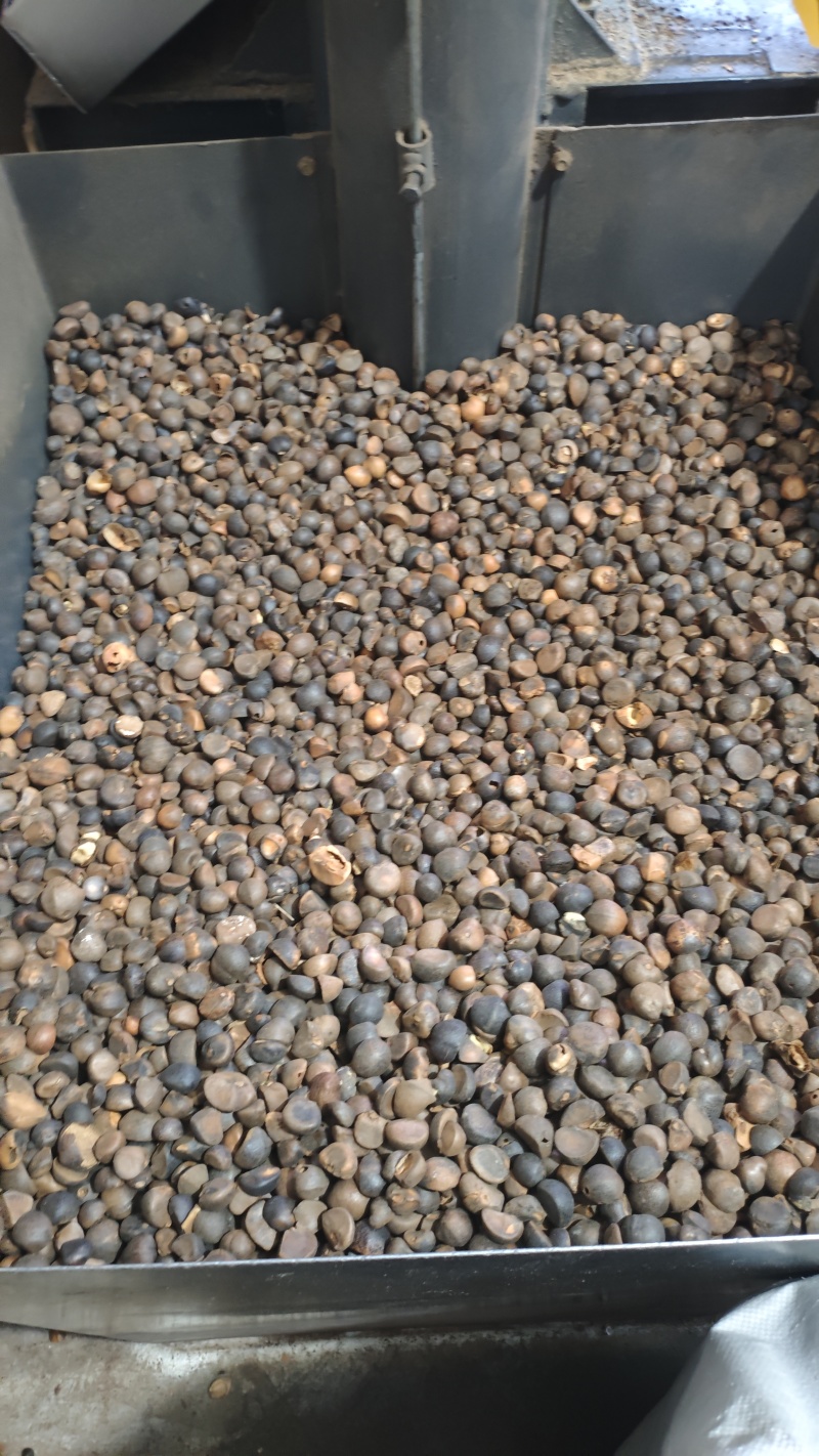 山茶油