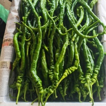 螺丝椒