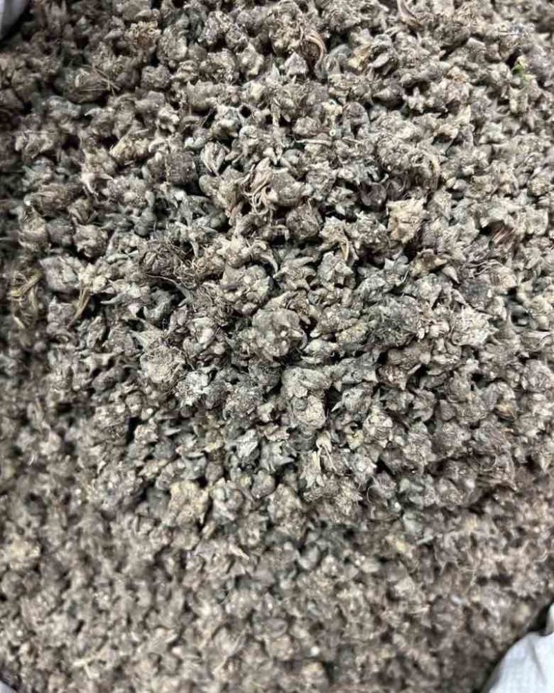猫爪草精品货源中药材批发猫抓草质量保证欢迎联系