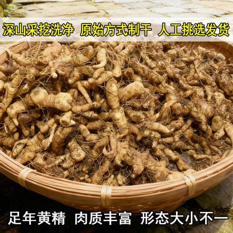 黄精野生黄精鲜货干货鸡头黄精多花黄精九蒸九晒各种规格
