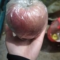 苹果本地富士