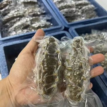 威海海参礼盒