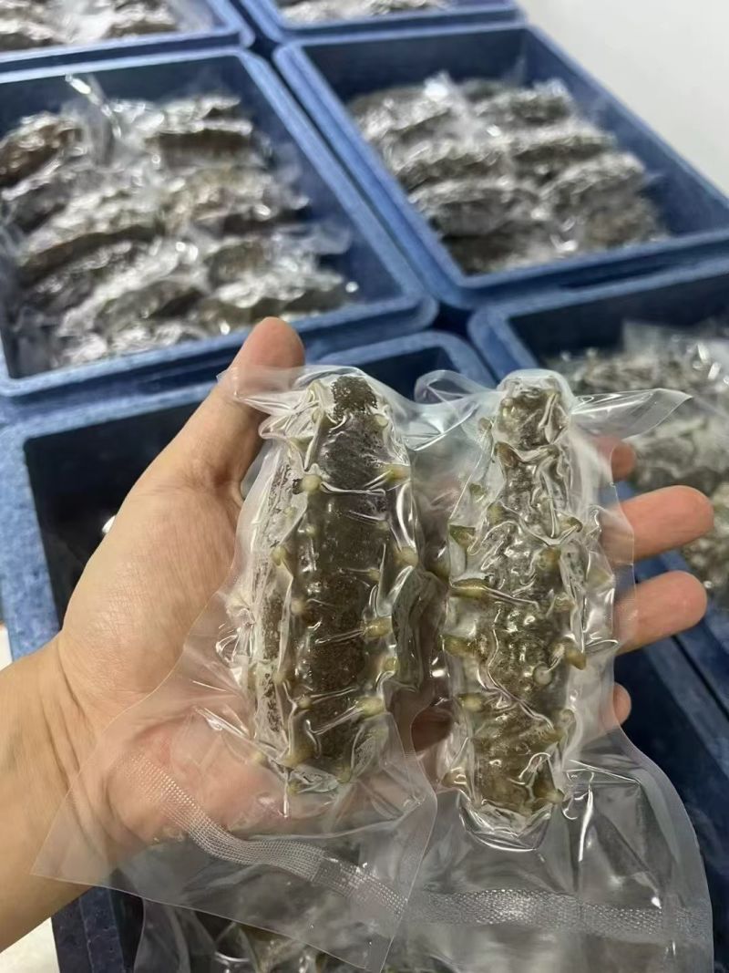 威海海参礼盒