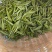 自产莓茶、藤茶、