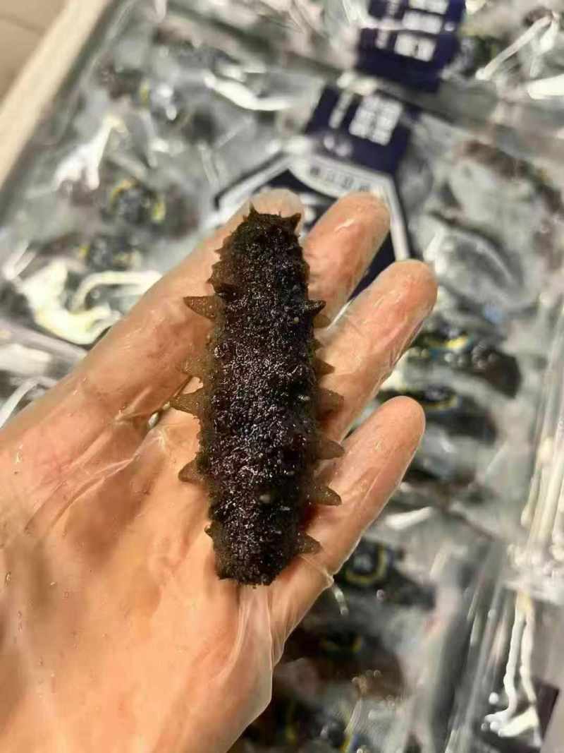 即食海参
