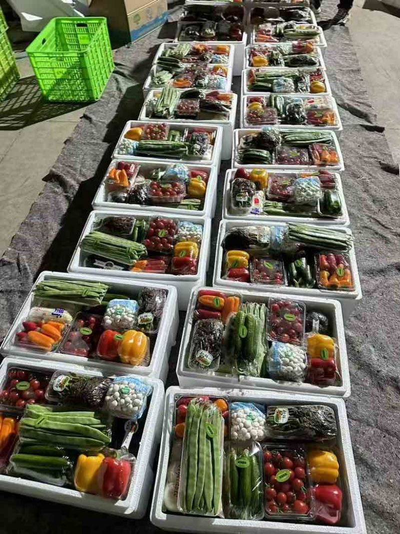 寿光特产年货蔬菜礼盒精品套菜蔬菜礼包组合马年礼盒