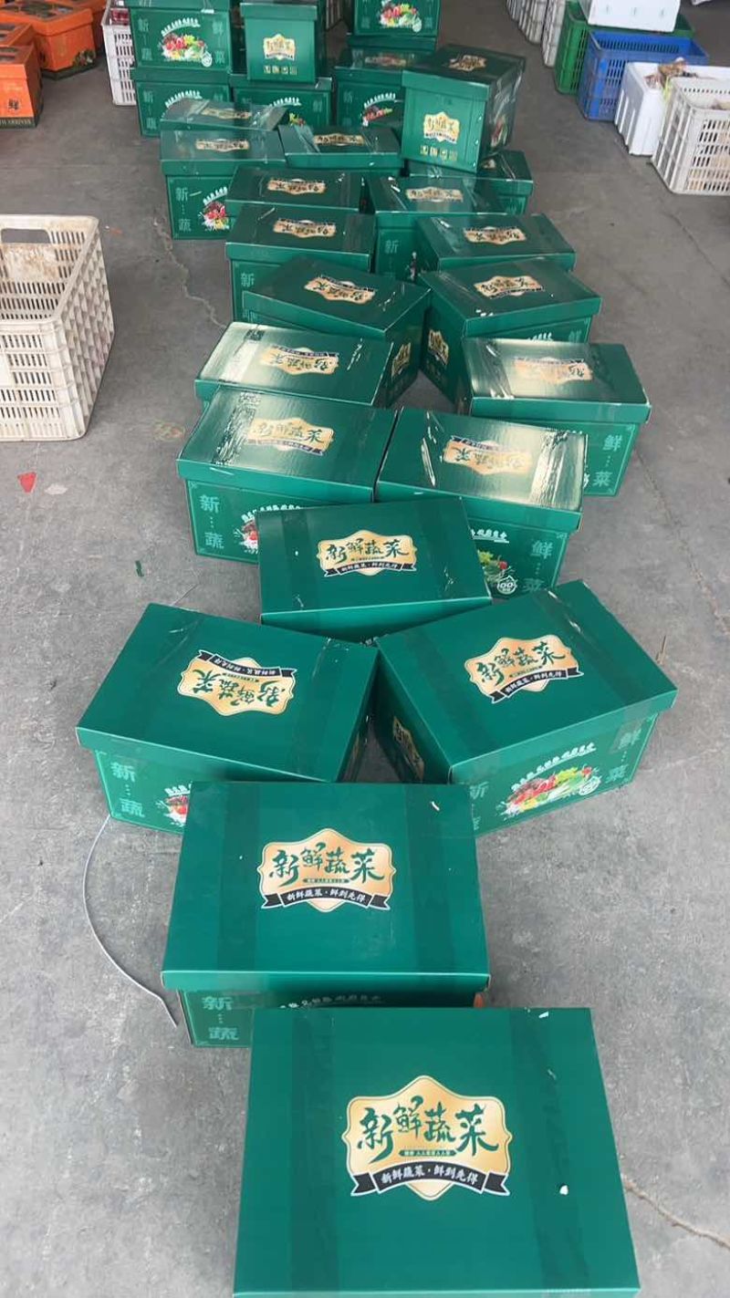 蔬菜组合礼盒多种蔬菜组合菜盒礼包公司福利