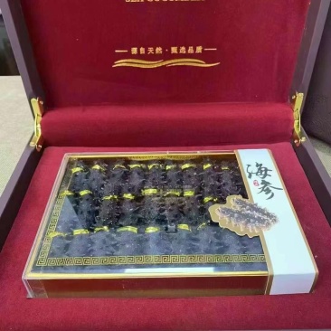 淡干海参