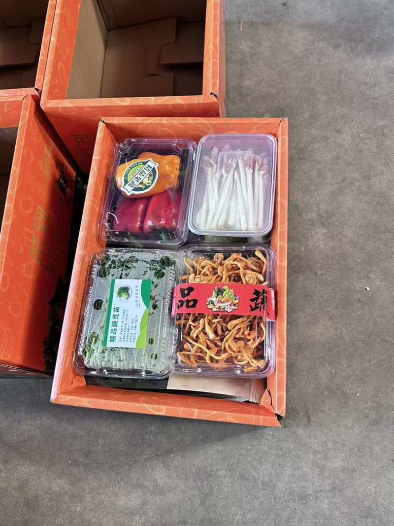 精品套菜26年新春蔬菜礼盒多规格对接全国客商