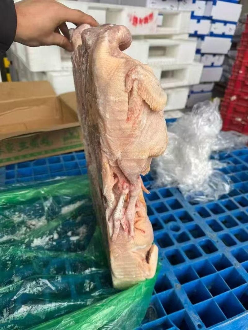 一级三黄鸡11只200件清库