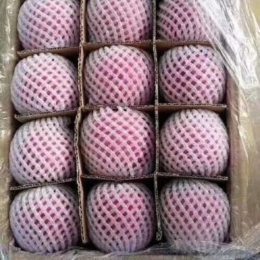 静宁秦冠