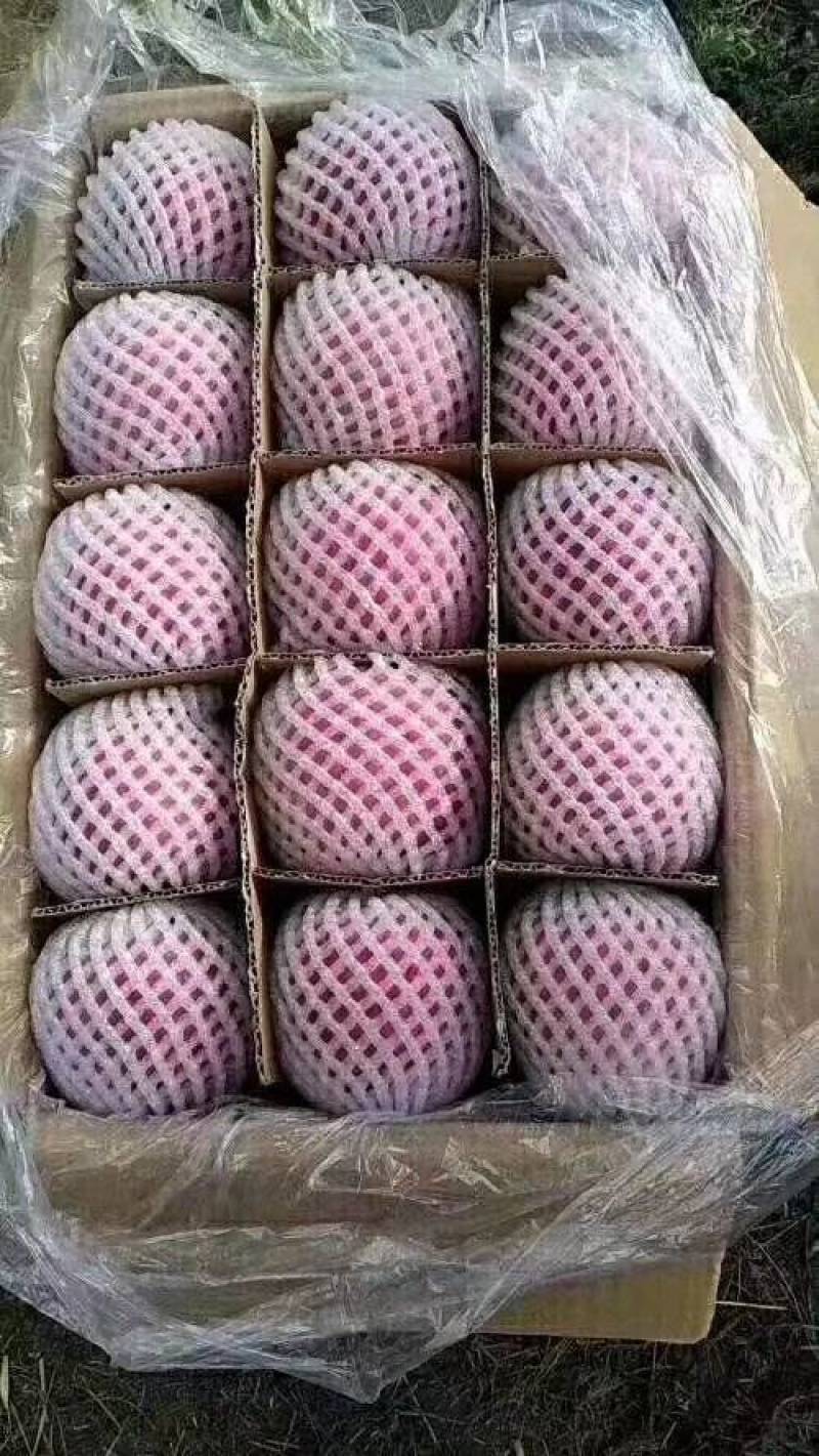 静宁秦冠