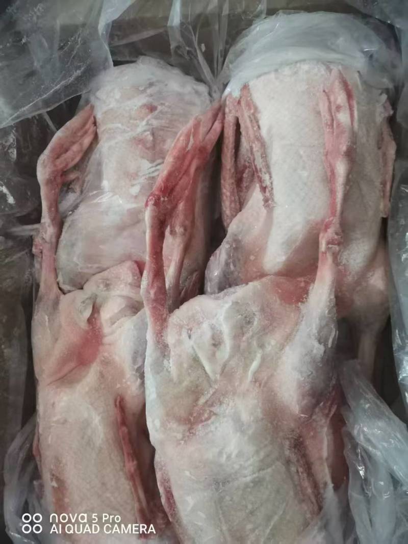 一级全鹅4只装1000件