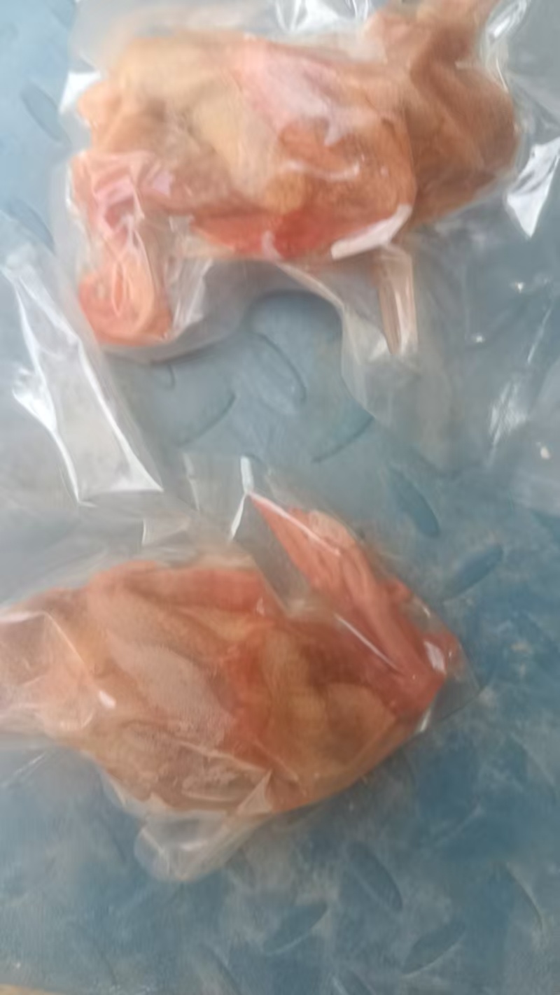 二级鸽子6-7两一万只