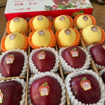 甘肃天水红富士
