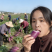 山东潍坊冰凌淋水果萝卜