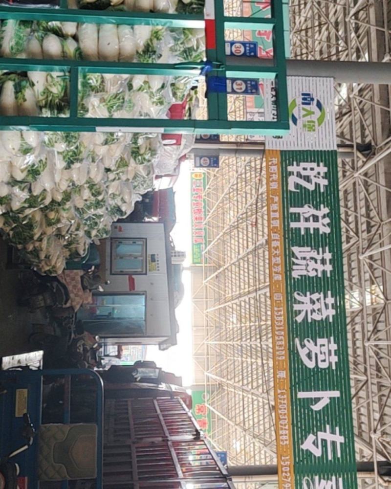 白萝卜