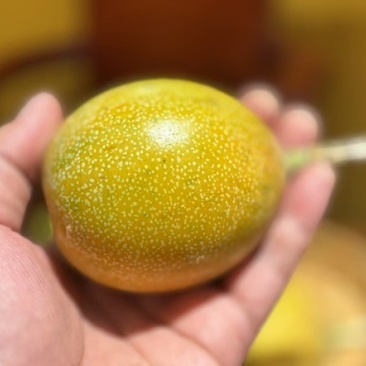 热情果（西双版纳）