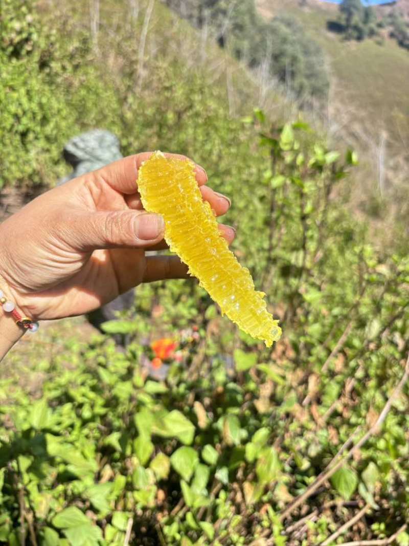 蜂蜜