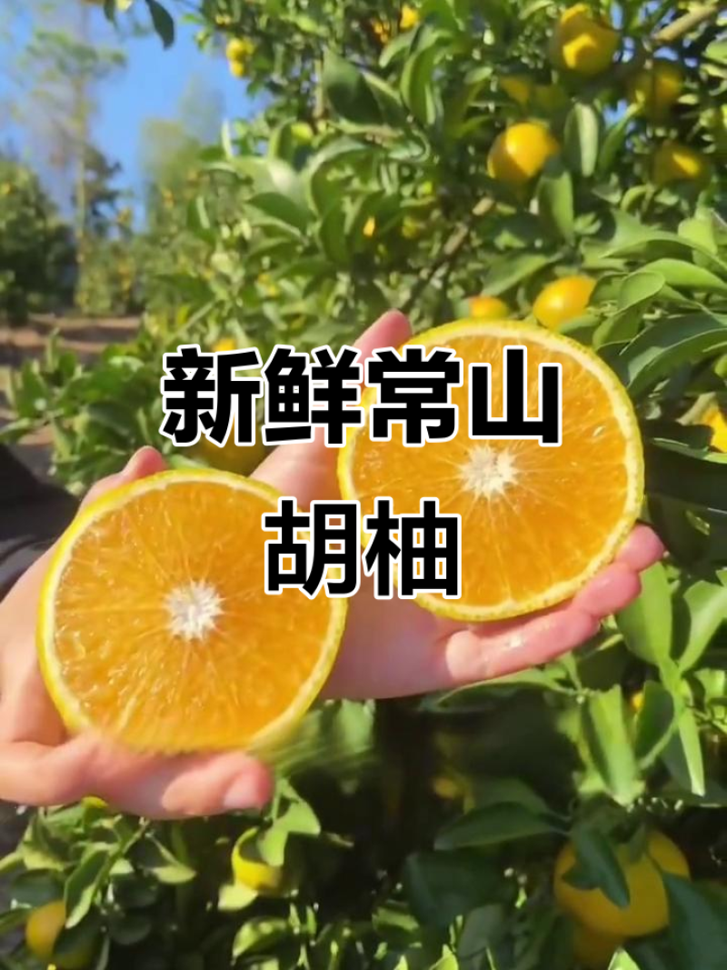 常山胡柚