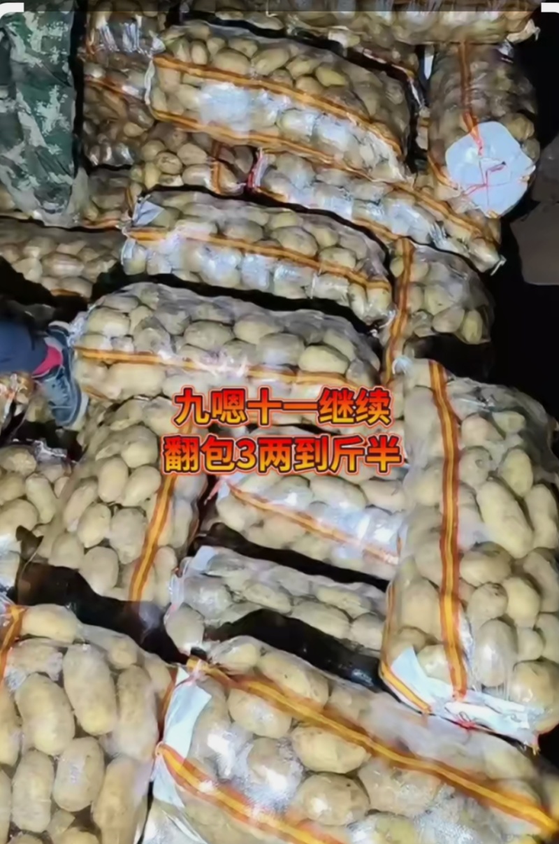 土豆