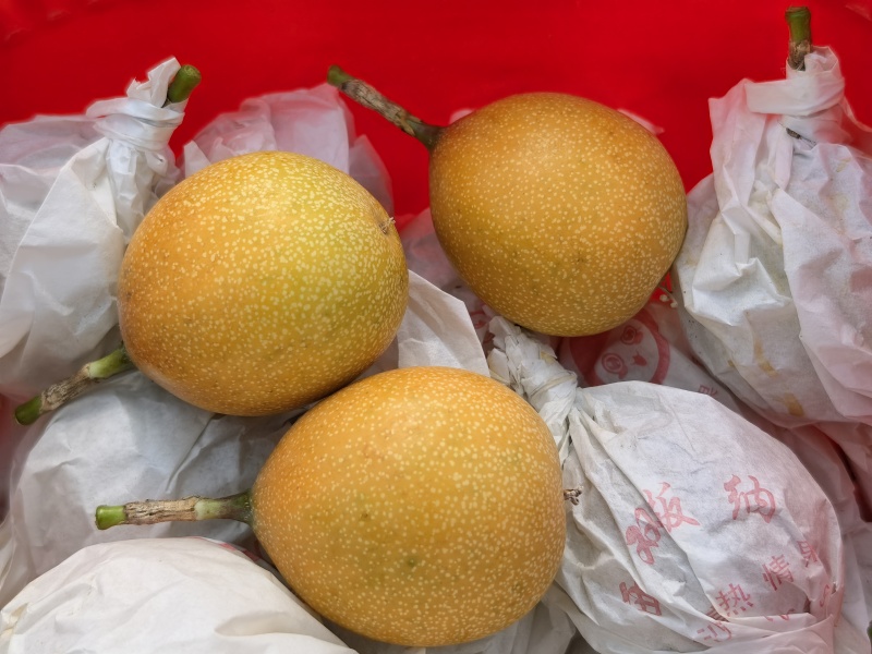 热情果