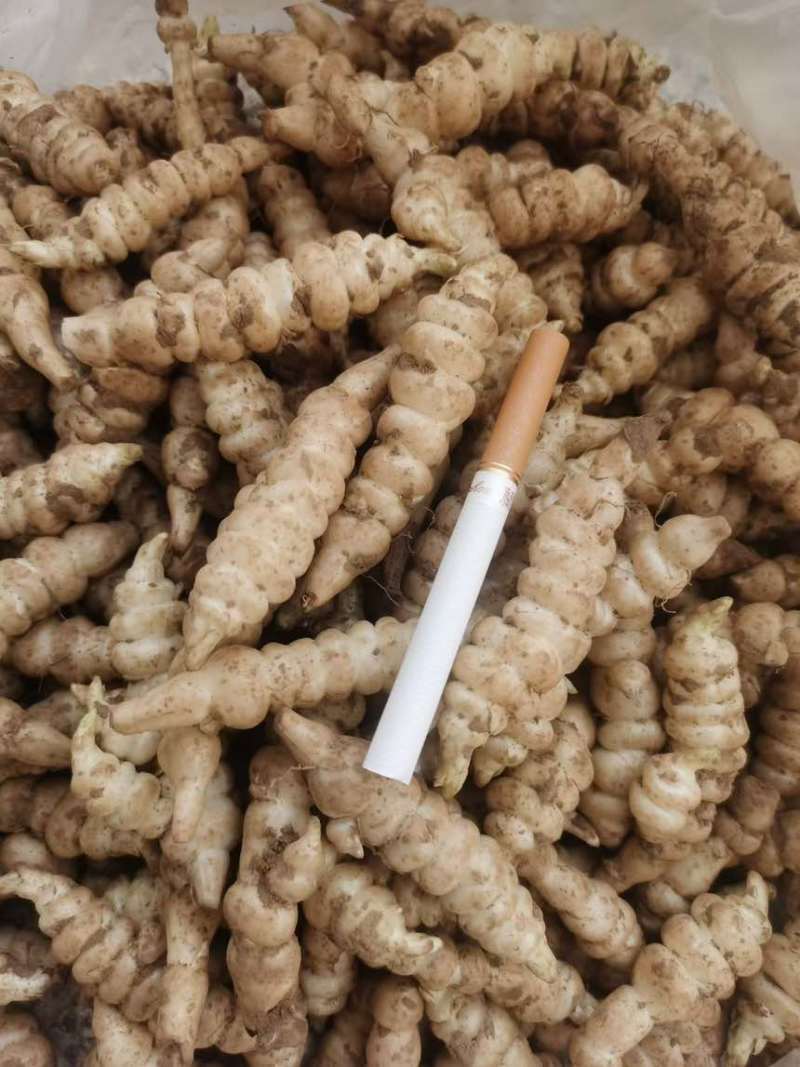精品电商地环宝塔地环