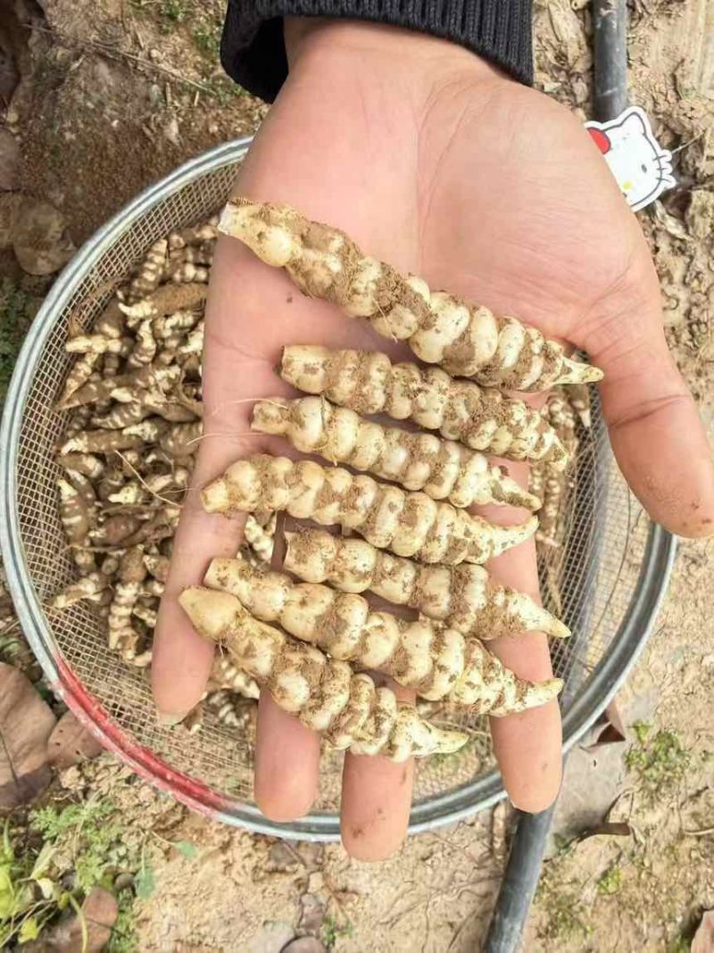 精品电商地环宝塔地环