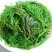盐碱地野菜黄须菜