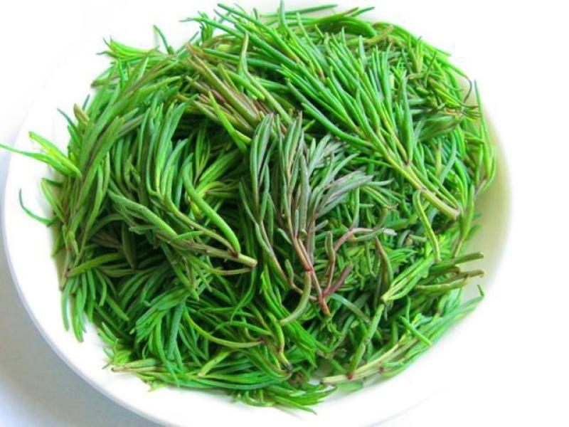 盐碱地野菜黄须菜