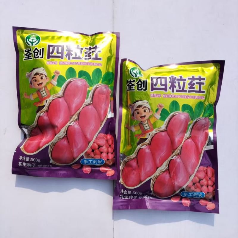 粮花2号(四粒荭)花生种子高产红皮红衣鲜食榨油两用花生种子