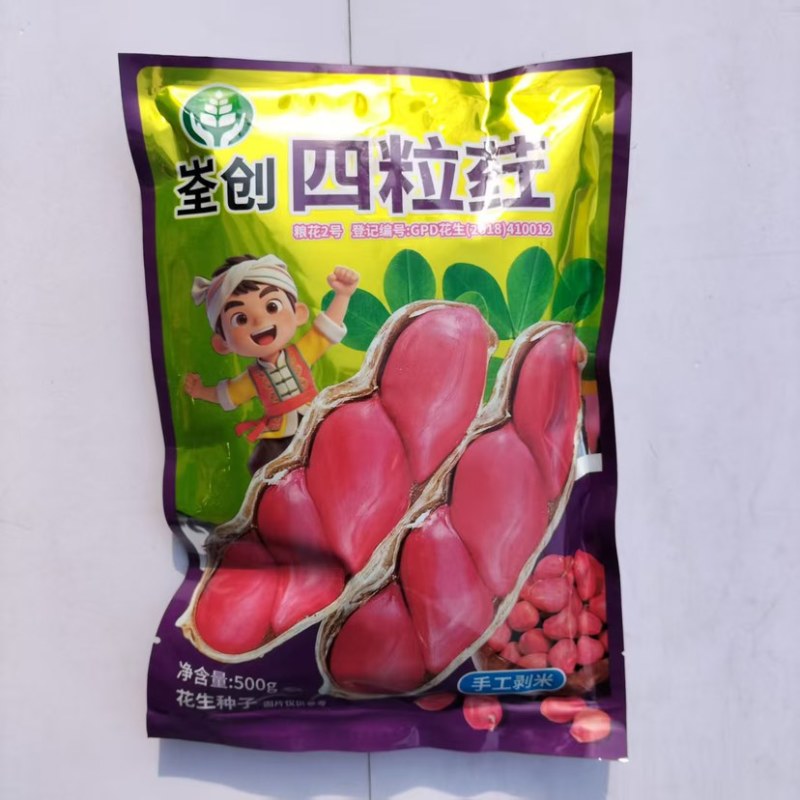 粮花2号(四粒荭)花生种子高产红皮红衣鲜食榨油两用花生种子