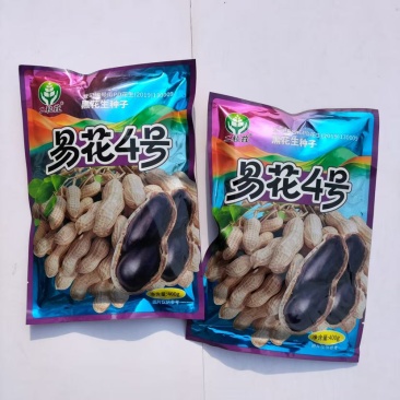 黑花生种子易花4号脱壳手选高产抗病春夏播黑皮花生紫花生种子籽