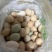 自家散养土鸡蛋