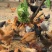 自家散养土鸡蛋10