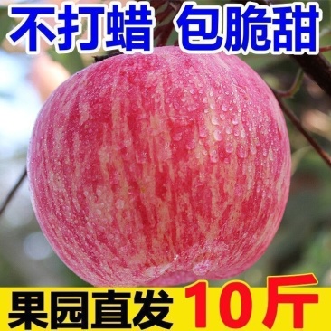苹果