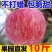 苹果
