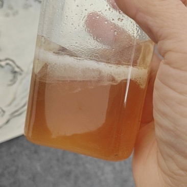 土蜂蜜