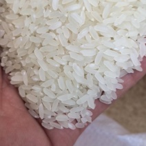 东北精品长粒香米