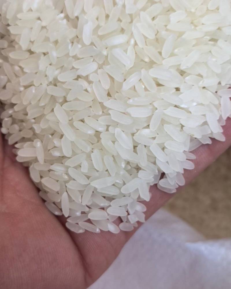 东北精品长粒香米