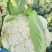 食堂花菜