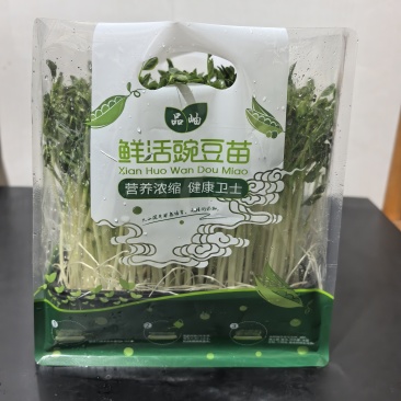 鲜活豌豆苗芽苗菜
