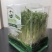鲜活豌豆苗芽苗菜