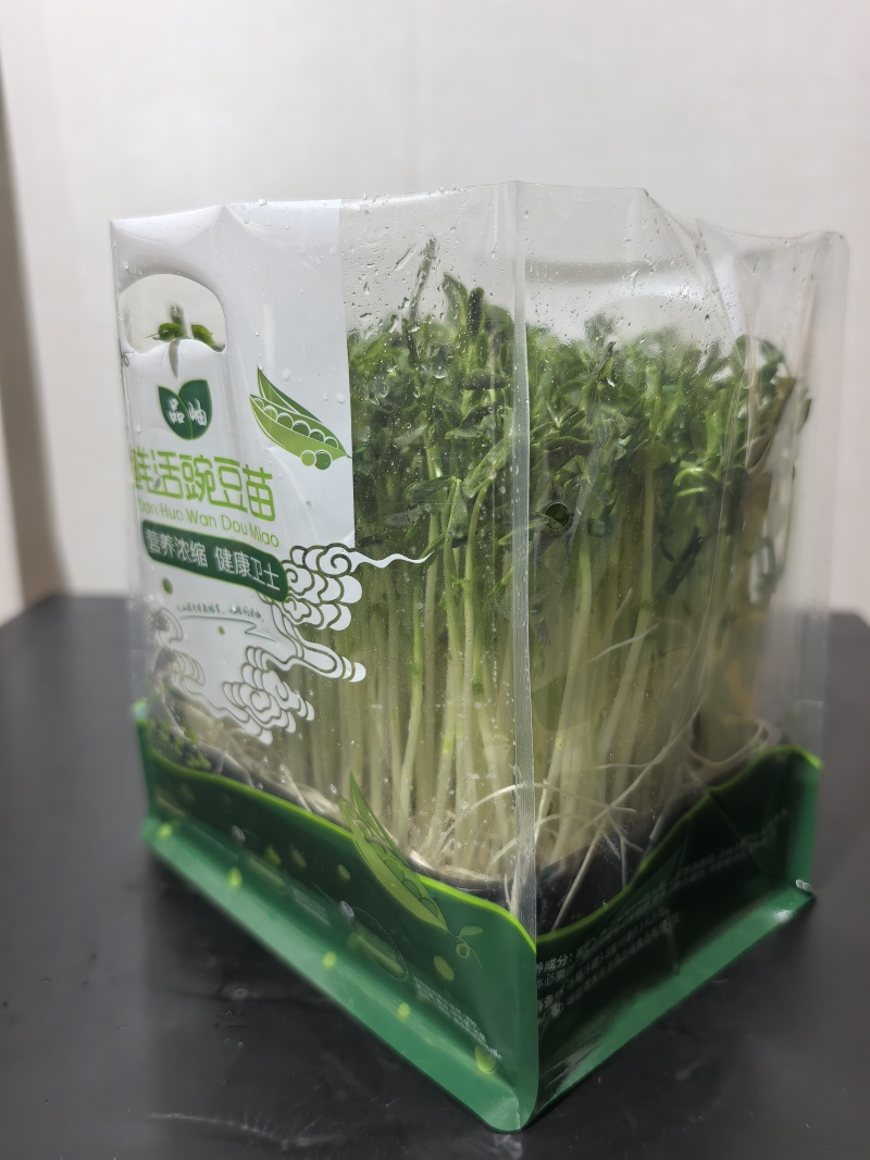 鲜活豌豆苗芽苗菜