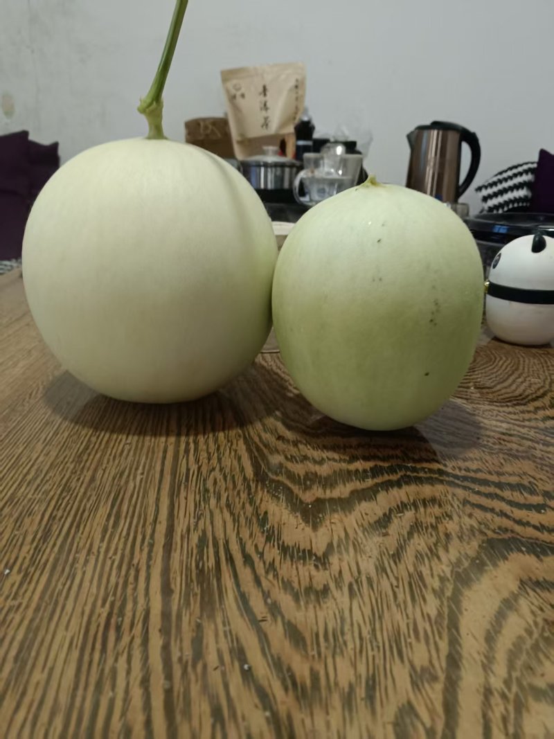 海南网纹小蜜哈密瓜