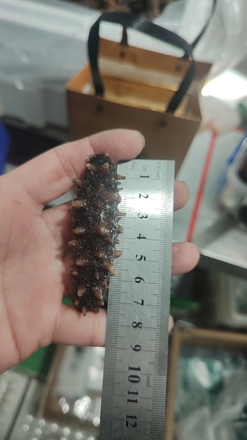 3.99一只即食海参