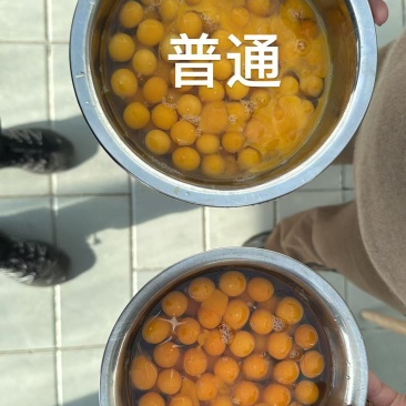 富硒无抗鹌鹑蛋