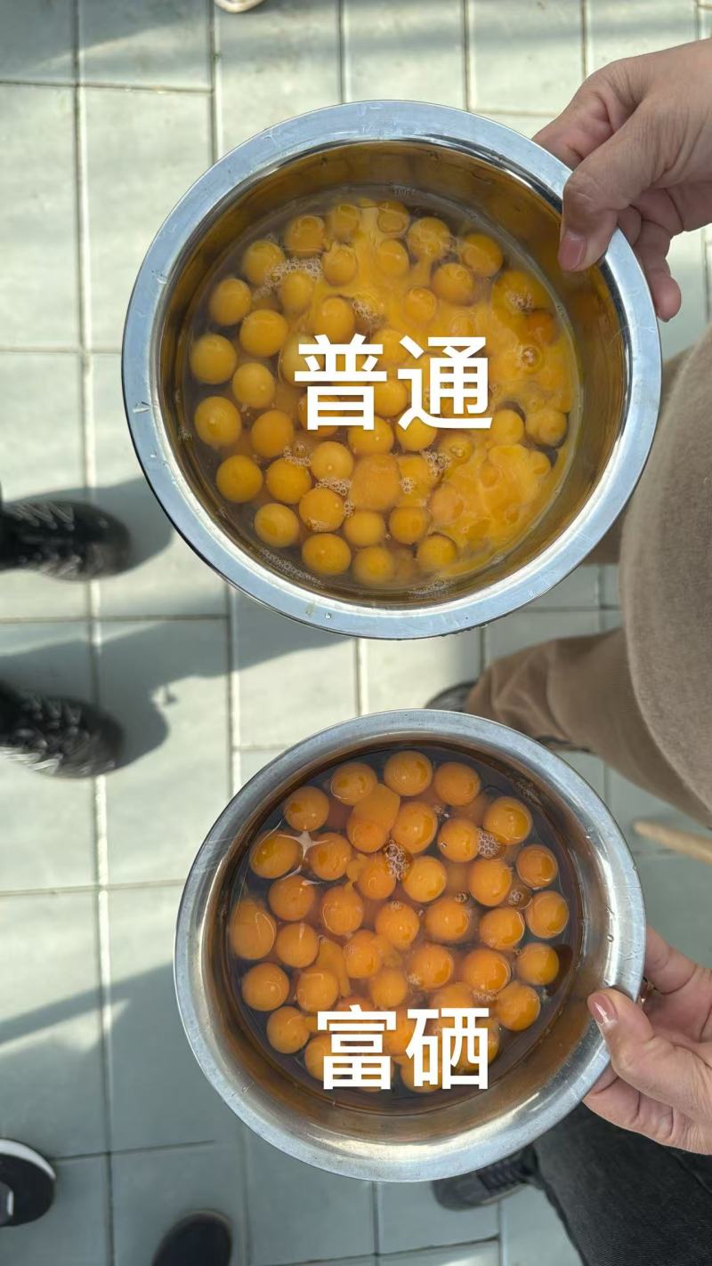 富硒无抗鹌鹑蛋