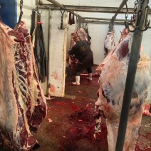 平凉红牛肉