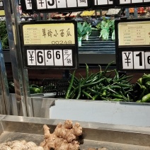 沙姜
